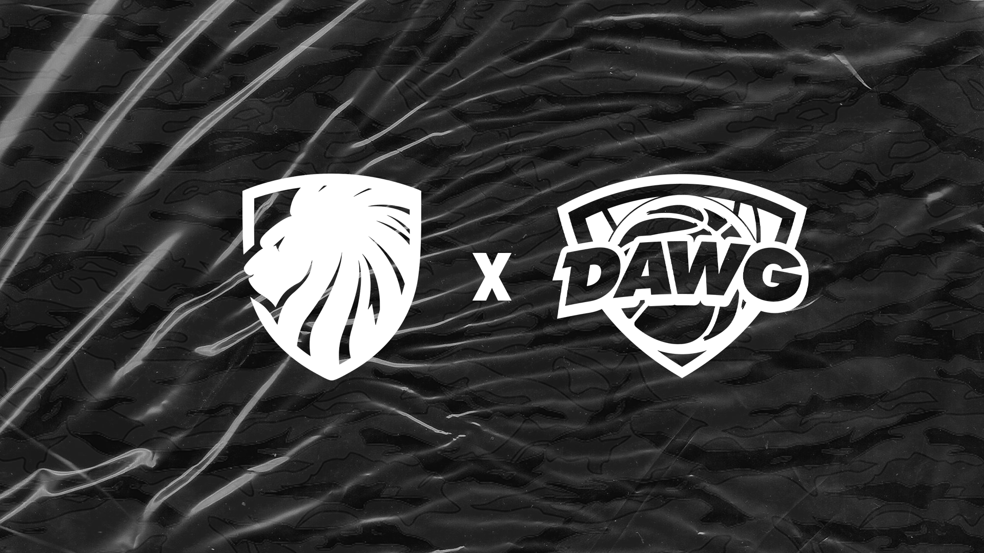 BALL DAWGS BECOMES THE OFFICIAL SPORTS MEDIA PARTNER OF VEGAS